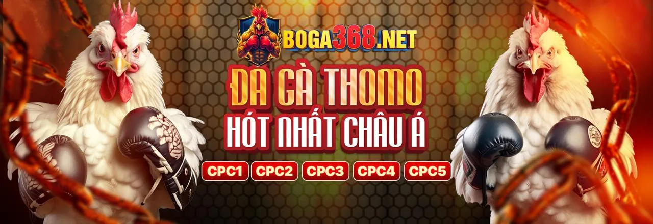 Tổng quan các chủ đề trong blog Longfu88